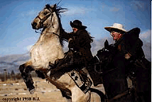 Cowboy Camp
