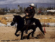 Anthony and Hollywood dig into the turn